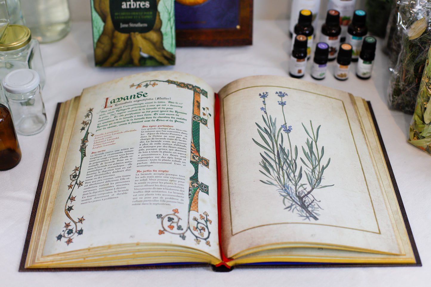 ATELIERS CRÉATIFS DE PRODUITS NATURELS - Cannes, Antibes, Valderoure